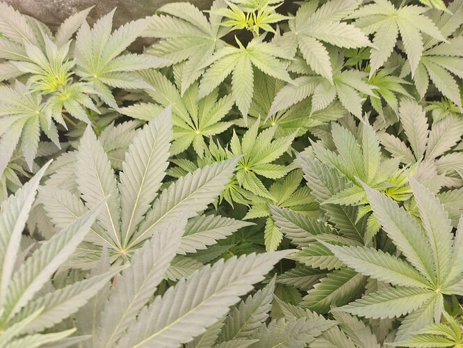 Growreport Bild 14