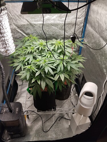 Growreport Bild 4