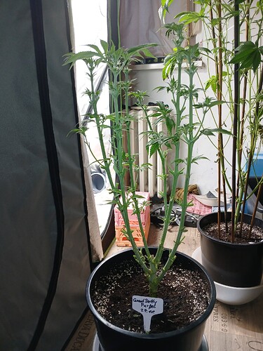 Growreport Bild 9