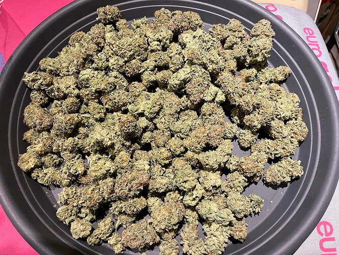 Growreport Bild 21