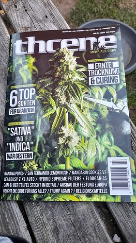 Growreport Bild 36