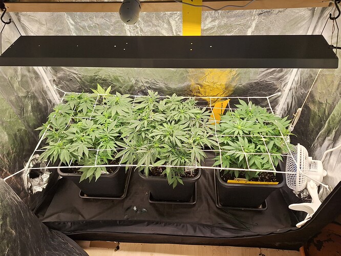 Growreport Bild 1