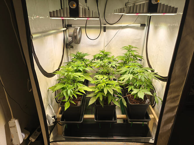 Growreport Bild 3
