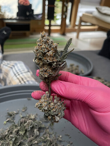 Growreport Bild 9