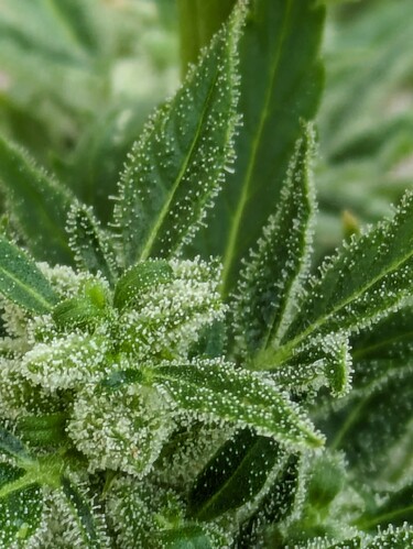 PXL_20240614_1101482991