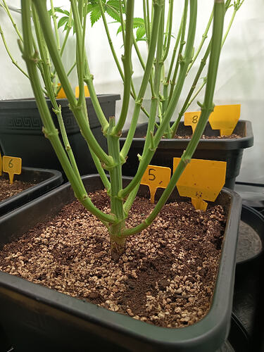 Growreport Bild 14