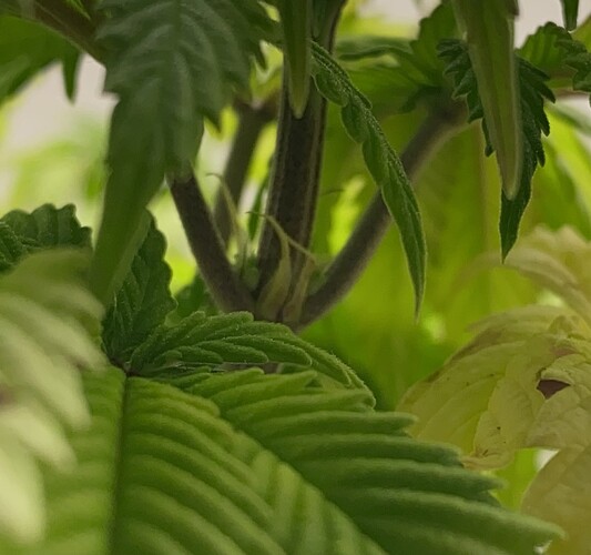 Growreport Bild 4