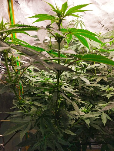 Growreport Bild 15
