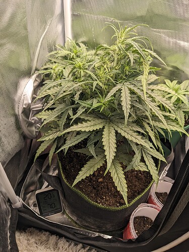 PXL_20240518_224206660