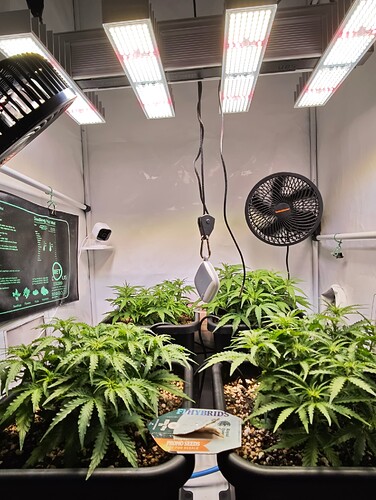 MVIMG_20251015_213616