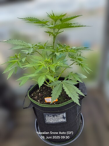Growreport Bild 11