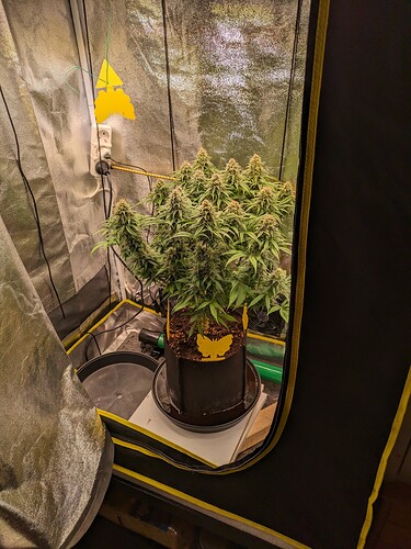 PXL_20240208_190421884