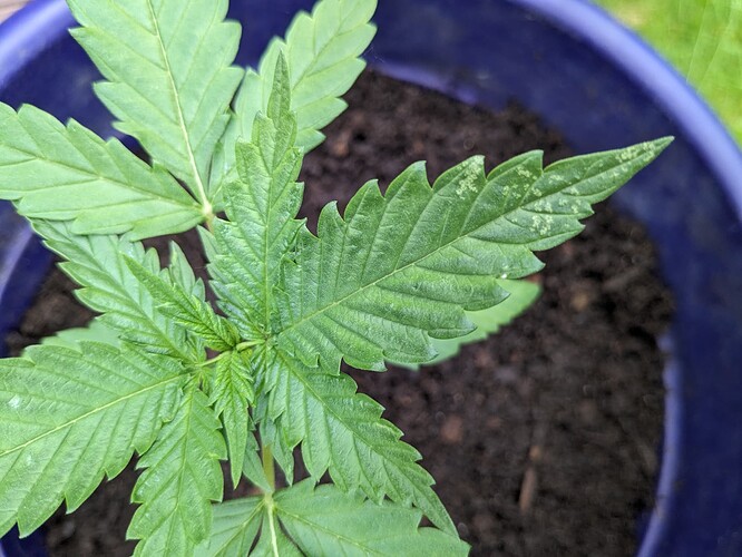 PXL_20240520_130943645