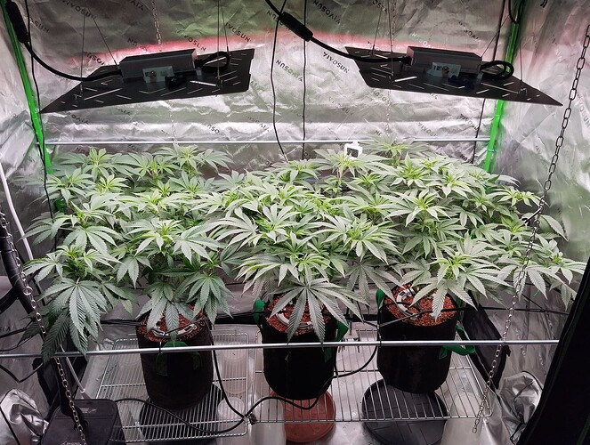 Growreport Bild 3