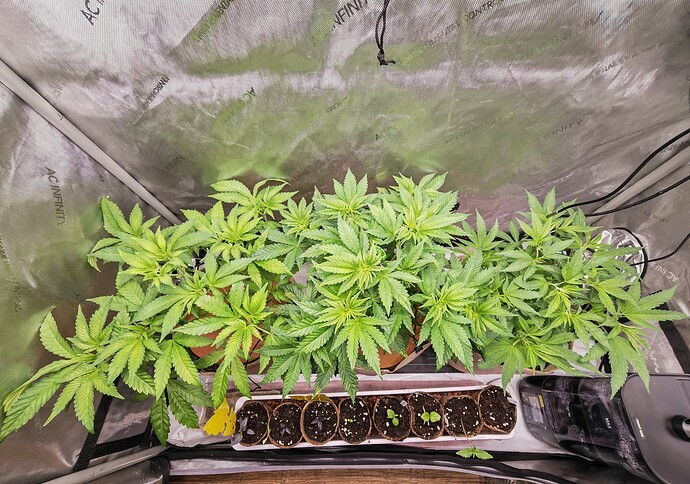 Growreport Bild 27