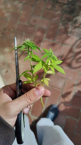 Growreport Bild 12