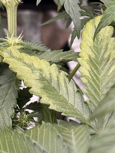 Growreport Bild 5