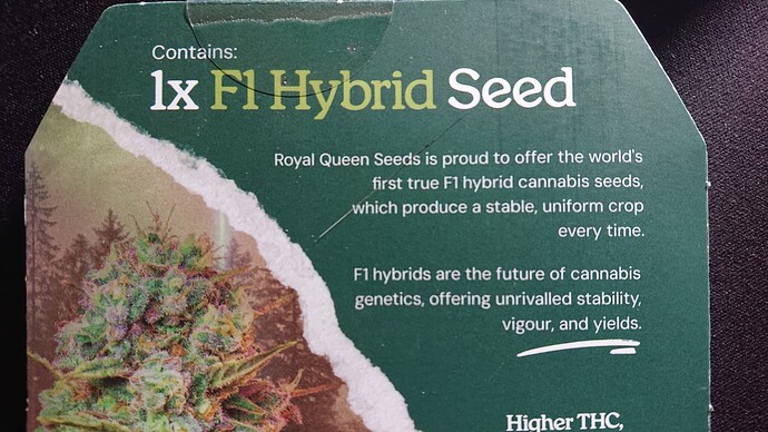 Growreport Bild 25