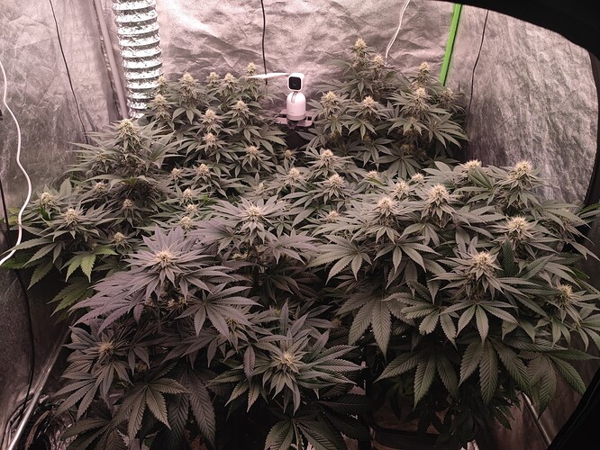 Growreport Bild 59