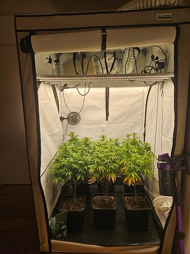 Growreport Bild 1