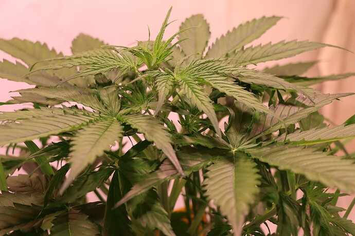 Growreport Bild 14
