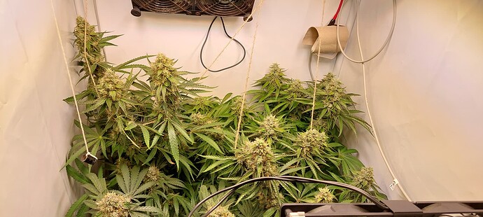 Growreport Bild 3