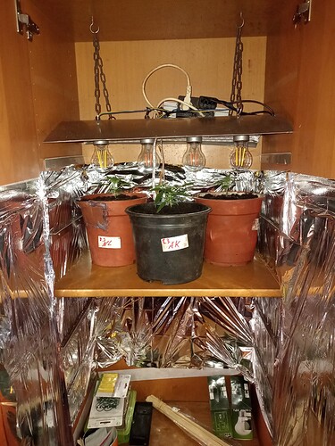 IMG_20240406_151136997