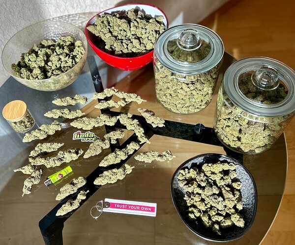 Growreport Bild 15