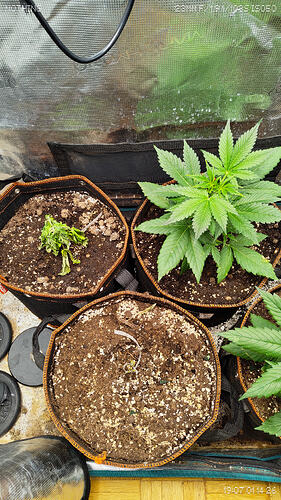 Growreport Bild 7