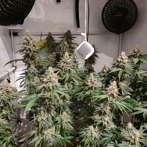 Growreport Bild 12