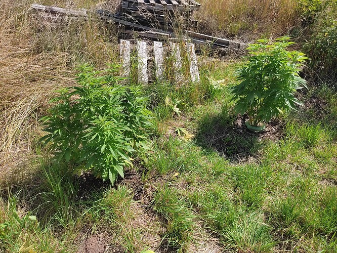 Growreport Bild 19