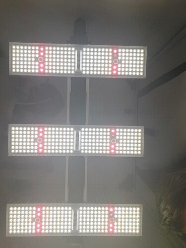 Growreport Bild 5