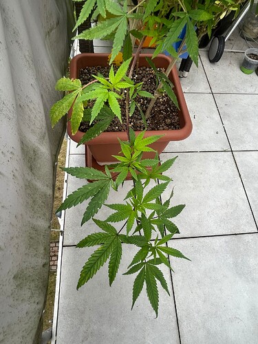 Growreport Bild 16