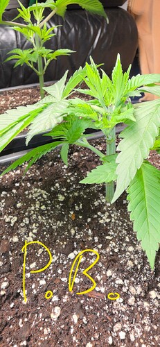 Growreport Bild 25