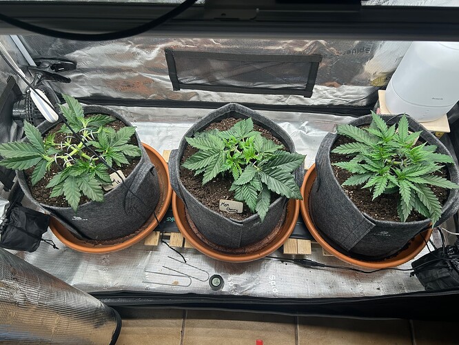 Growreport Bild 5