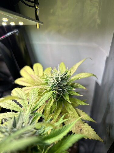 Growreport Bild 6
