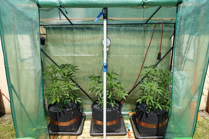 Growreport Bild 2
