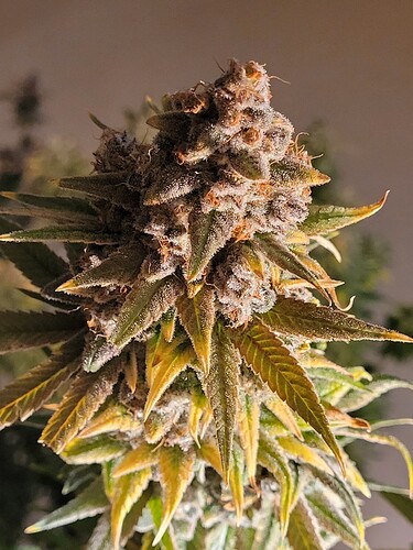 Growreport Bild 11