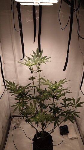 Growreport Bild 6