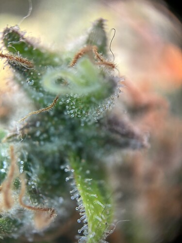Growreport Bild 9