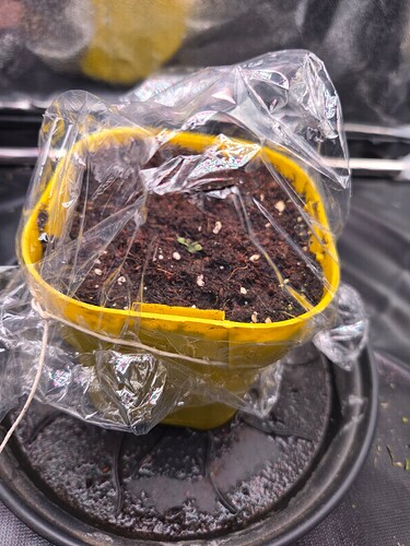 Growreport Bild 11