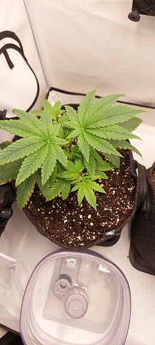 20241031_173130