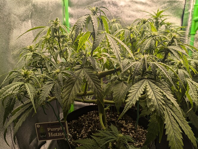 Growreport Bild 11