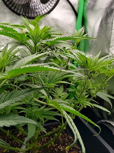 IMG_20240503_213537032_HDR