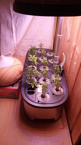 Growreport Bild 13