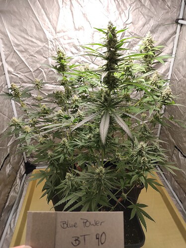 Growreport Bild 13