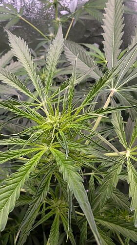 PXL_20241003_130951760