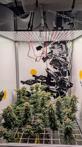 Growreport Bild 23