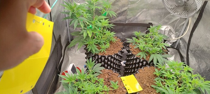 IMG_20251007_094358469_HDR