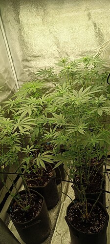 Growreport Bild 12